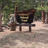 Review photo of Meeker Park Overflow Campground by Crystal C., June 30, 2019