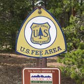 Review photo of Meeker Park Overflow Campground by Crystal C., June 30, 2019
