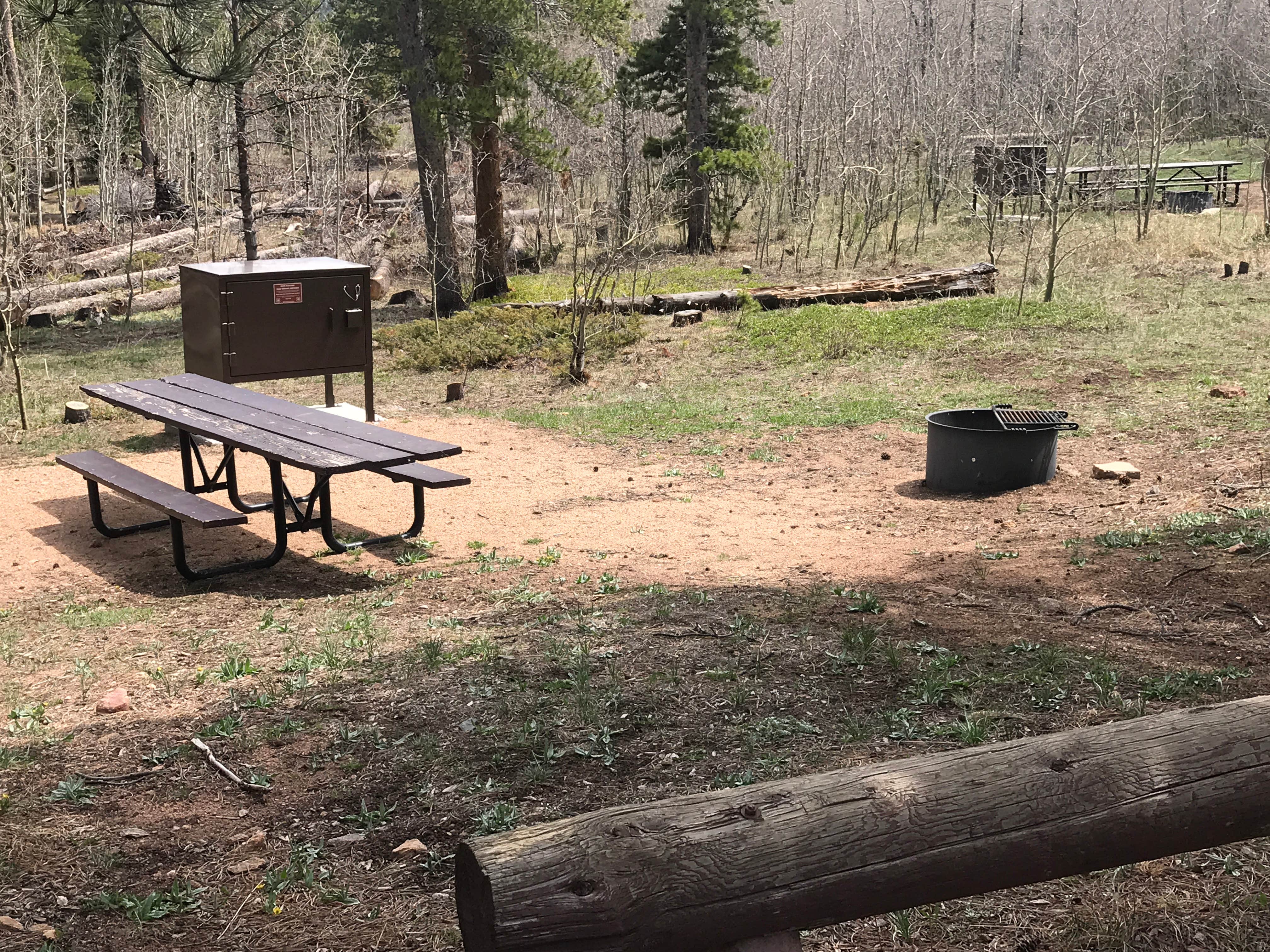 Camper submitted image from Meeker Park Overflow Campground - 4