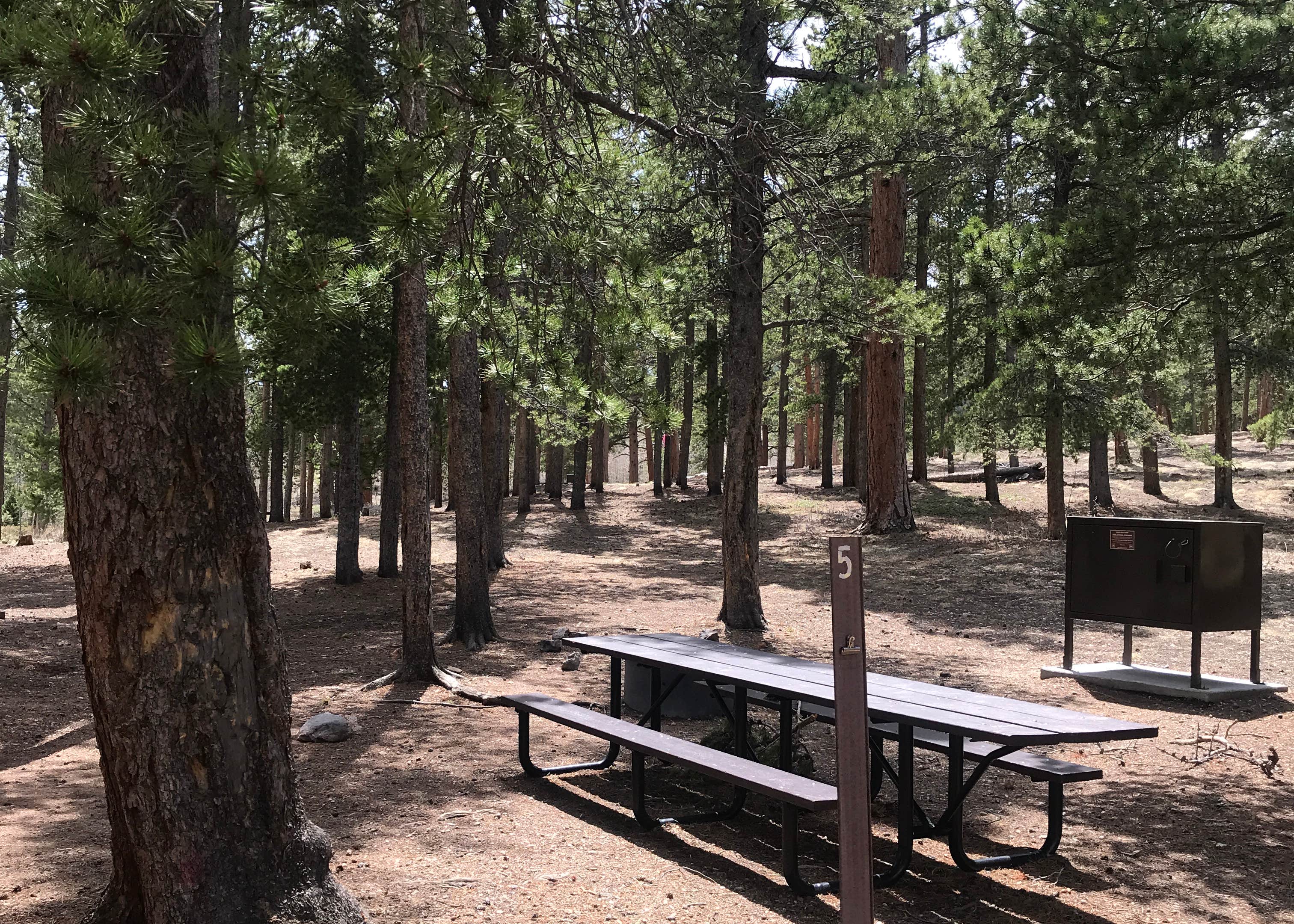 Meeker Park Overflow Campground Camping The Dyrt