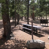 Review photo of Meeker Park Overflow Campground by Crystal C., June 30, 2019