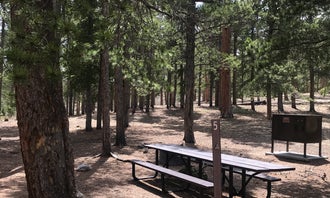 Meeker Park Overflow Campground