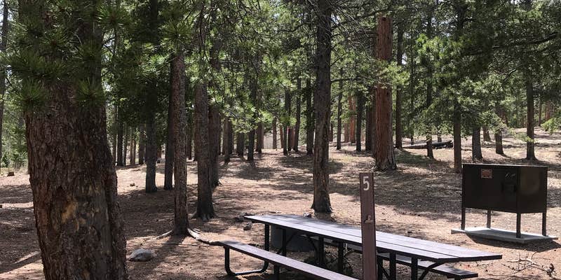 Camper submitted image from Meeker Park Overflow Campground