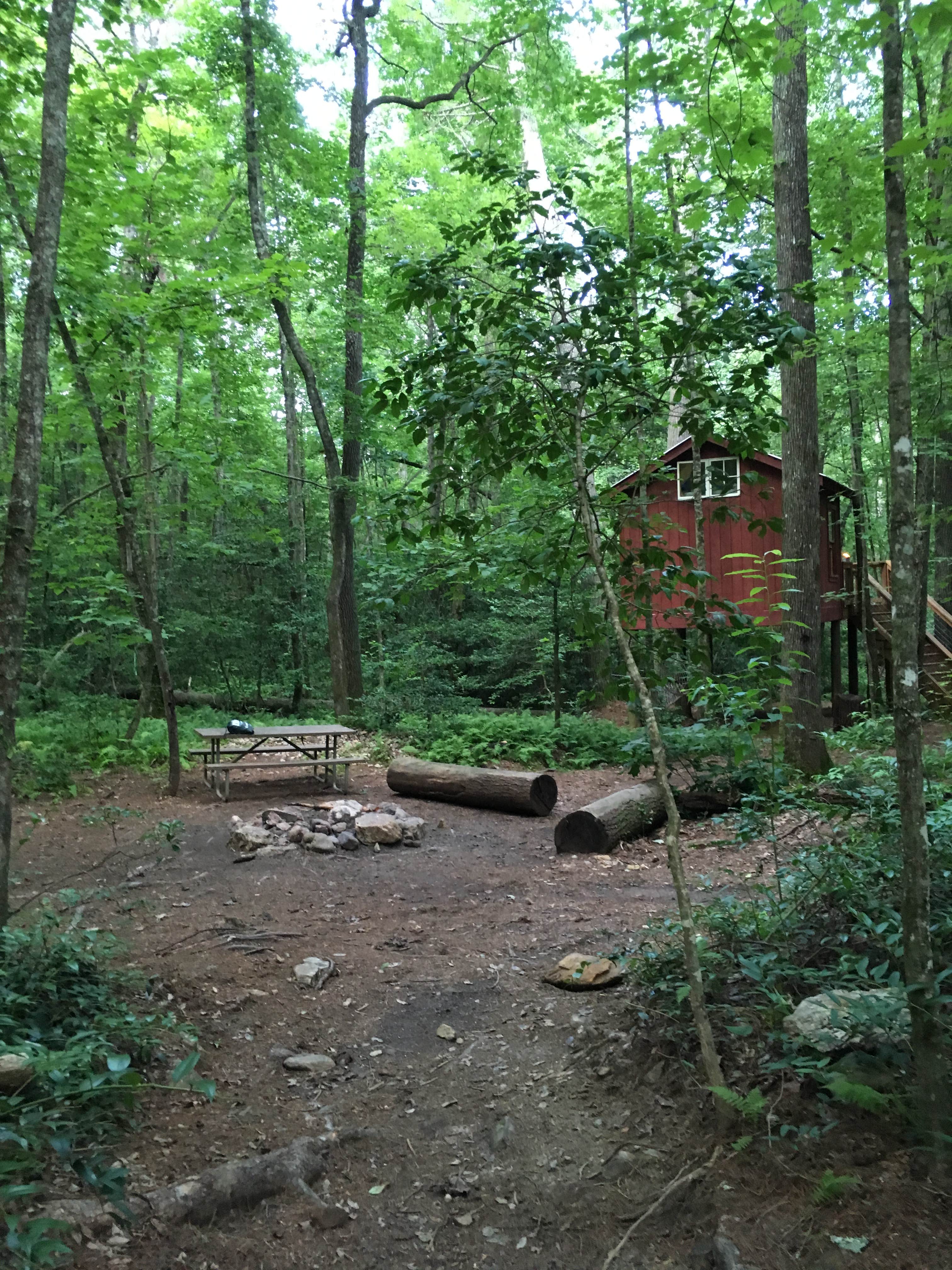 Camper submitted image from Nacoochee Adventures - 3