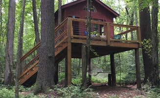 Anna R.'s photo of a cabin at Nacoochee Adventures near Clarkesville, GA