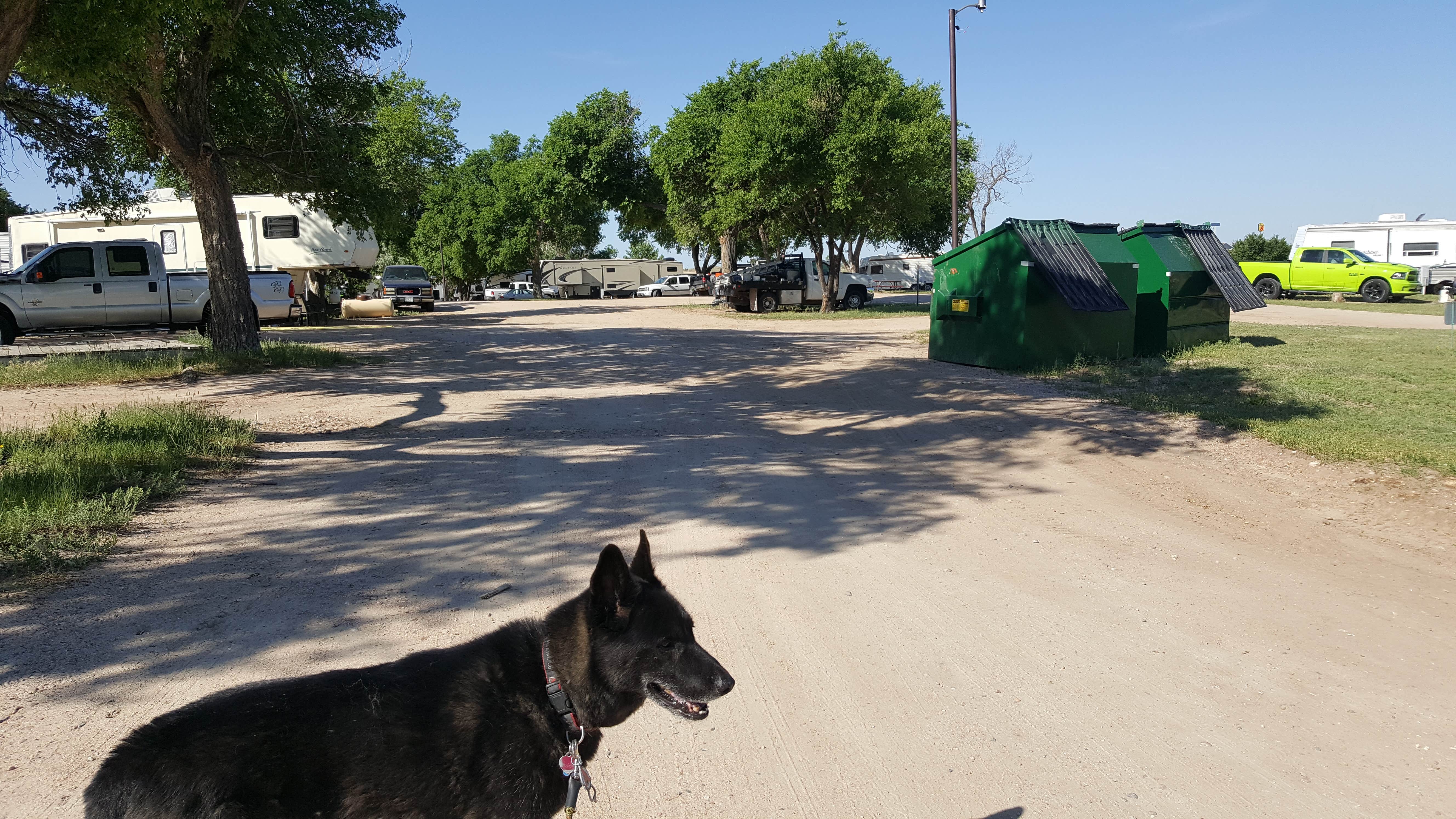 Daniel  B.'s photo of camping with pets at Buffalo Hills Campground & RV Park near Sidney, NE