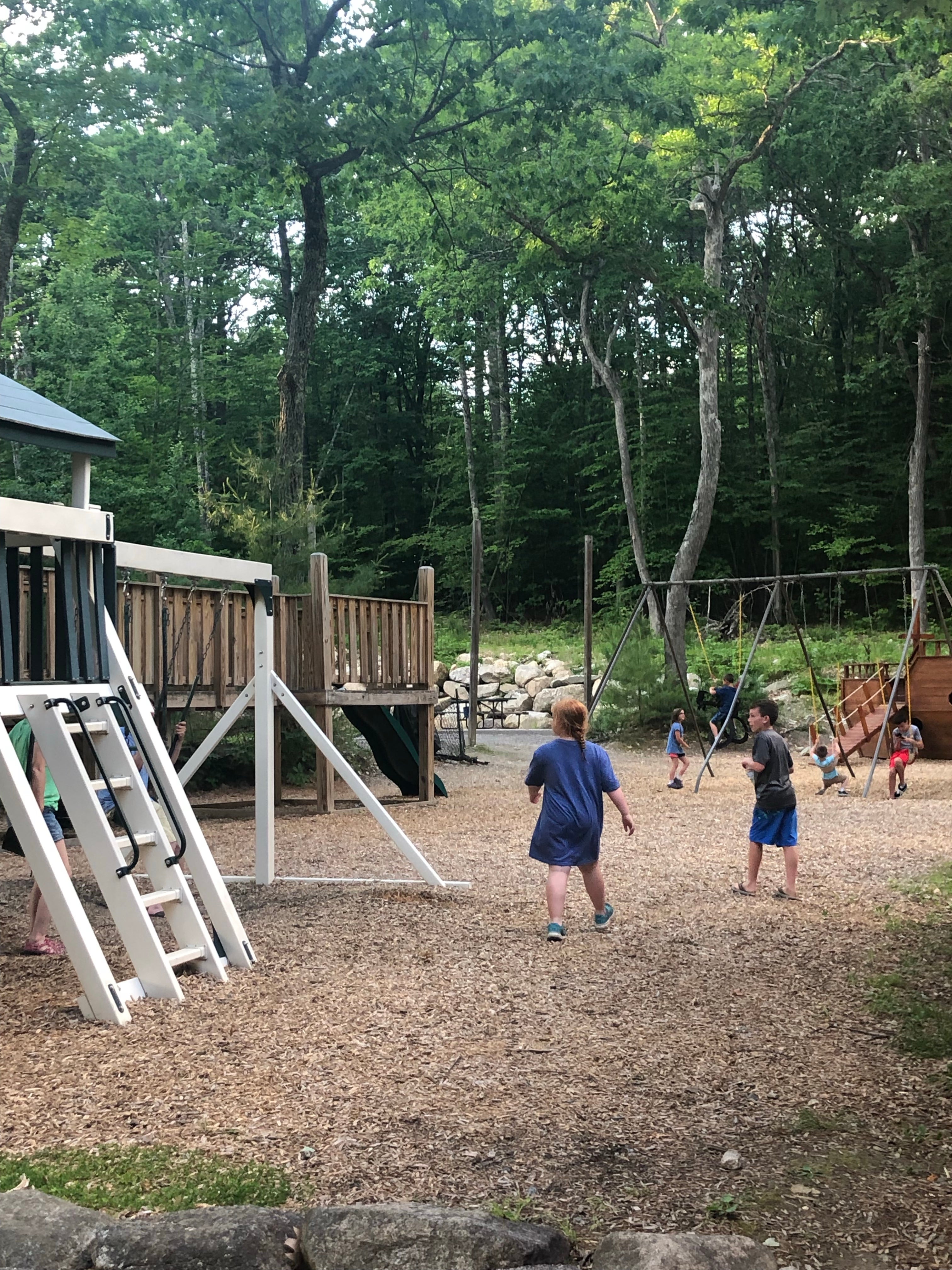 Camper submitted image from Loon's Haven Family Campground - 5