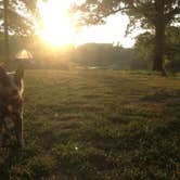 Review photo of Beech Point Campground by Molly G., September 5, 2016