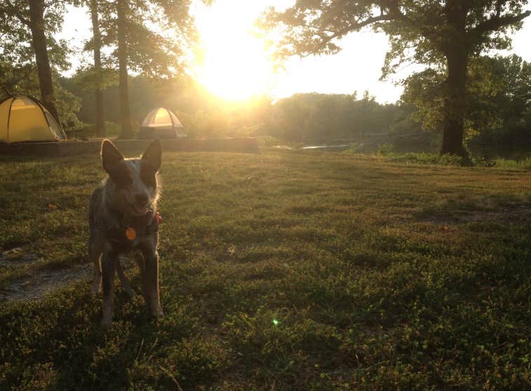 Camper submitted image from Beech Point Campground - 4