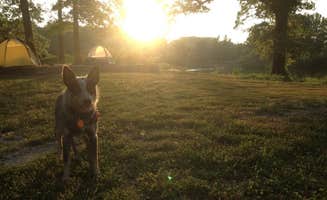 Molly G.'s photo at Beech Point Campground near Holly Grove, AR