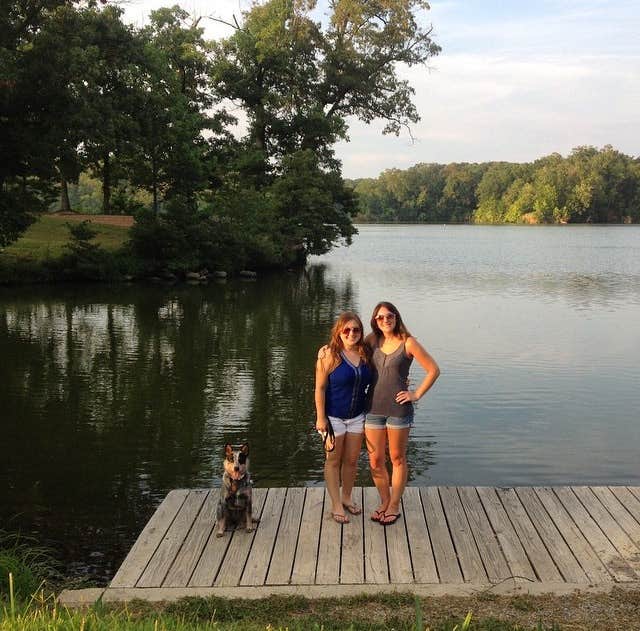 Camper submitted image from Beech Point Campground - 5