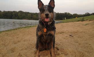 Molly G.'s photo of camping with pets at Beech Point Campground near Coldwater, MS