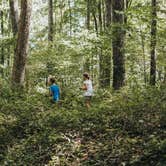 Review photo of Versailles State Park Campground by Jessie W., November 3, 2018