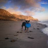 Review photo of Sycamore Canyon Campground — Point Mugu State Park by Molly G., September 5, 2016