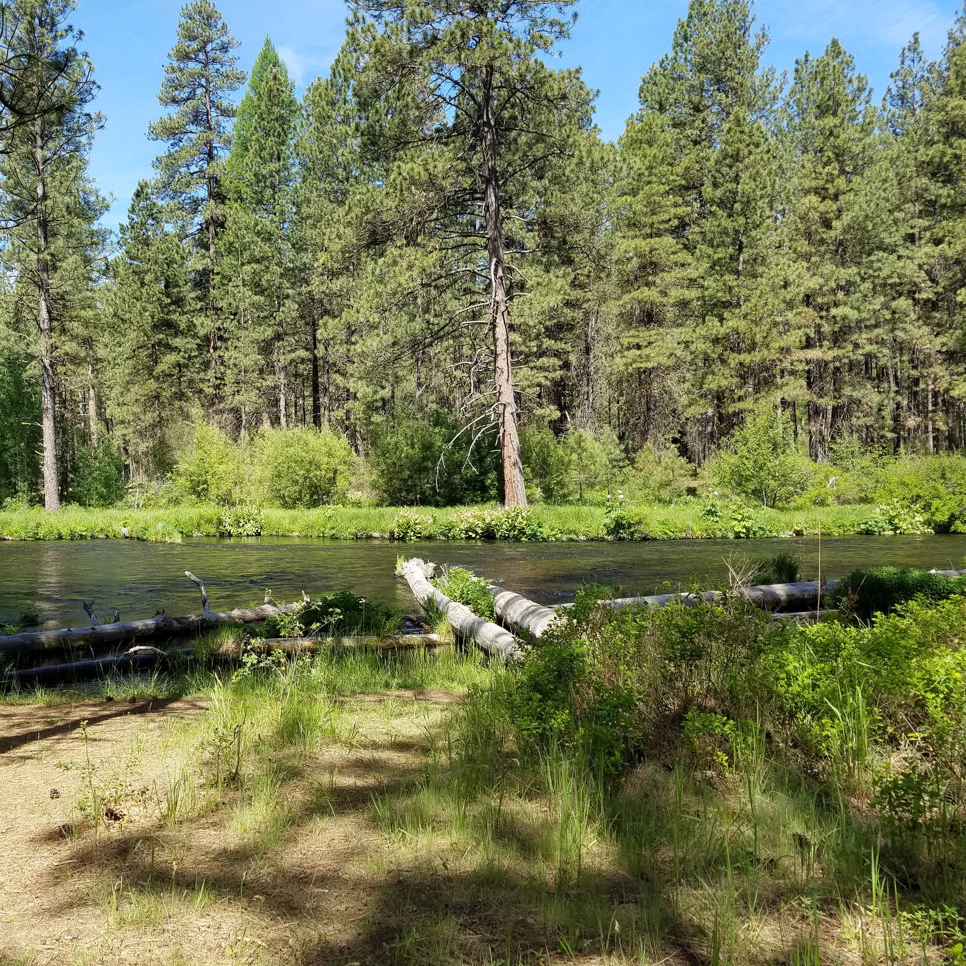 Camp Sherman Campground Camping The Dyrt