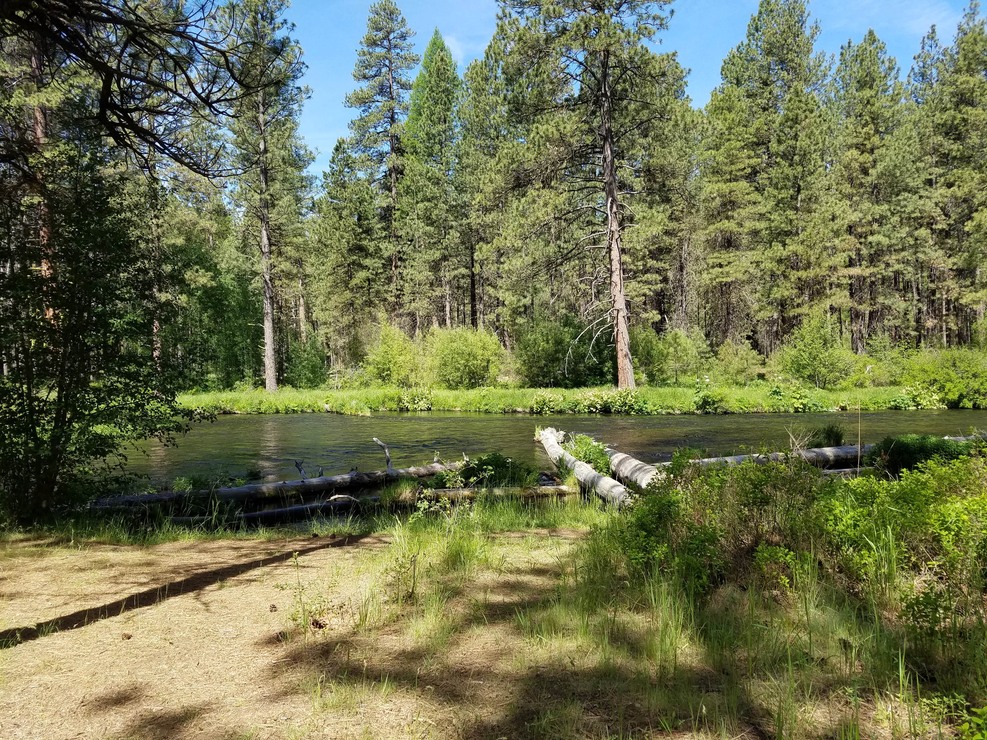 Camper submitted image from Camp Sherman Campground - 2
