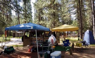 Teresa R.'s photo at Camp Sherman Campground near Camp Sherman, OR