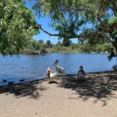 Review photo of Guajome Regional Park by Dad & B R., June 30, 2019