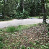 Review photo of Anderson Lake West - Gwinn State Forest by Randall J., June 30, 2019