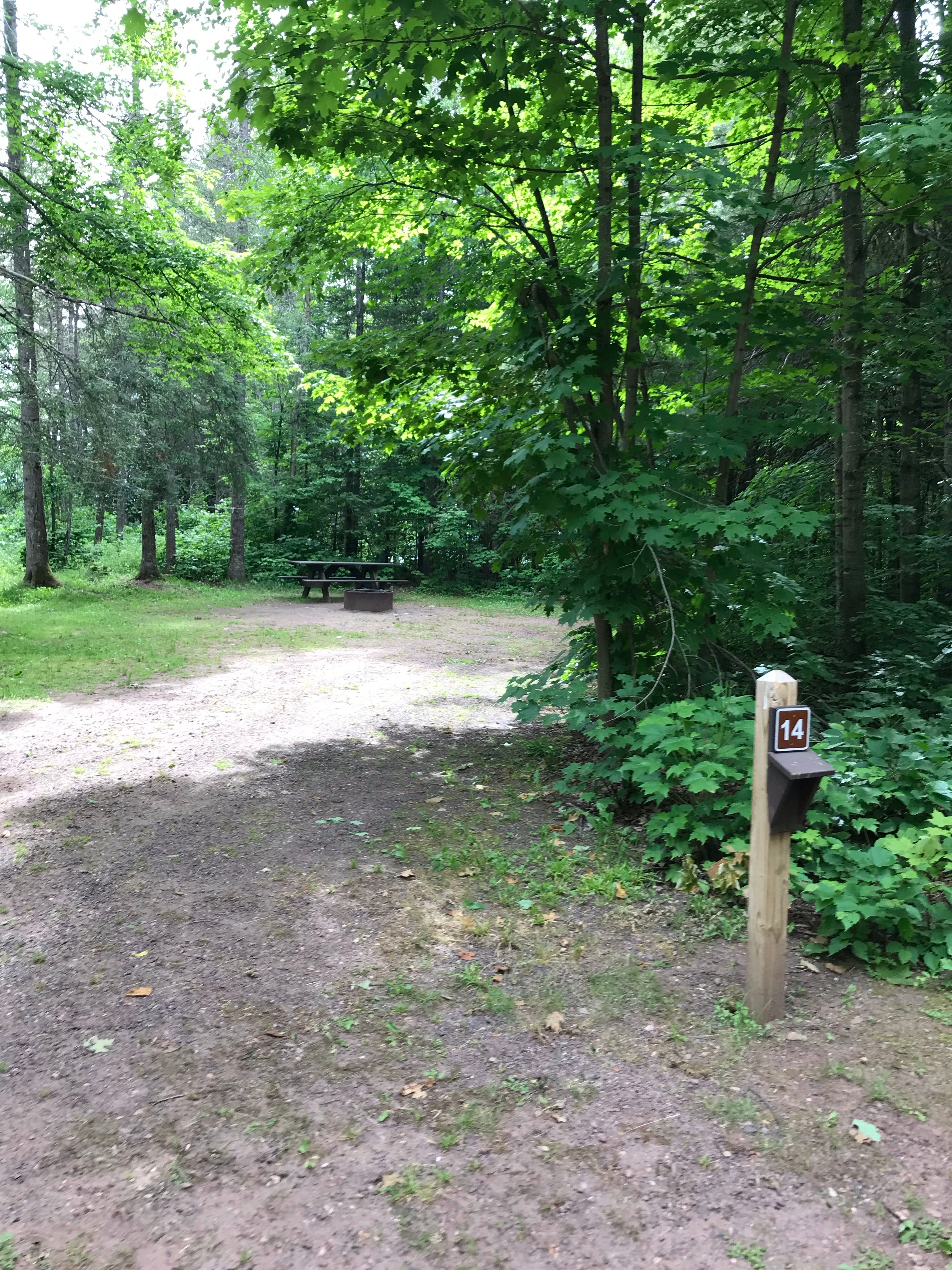 Camper submitted image from Bass Lake State Forest Campground (Luce) - 1