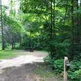 Review photo of Bass Lake State Forest Campground (Luce) by Randall J., June 30, 2019