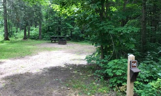 Camping near East Branch of Fox River State Forest Campground: Bass Lake State Forest Campground (Luce), Newberry, Michigan