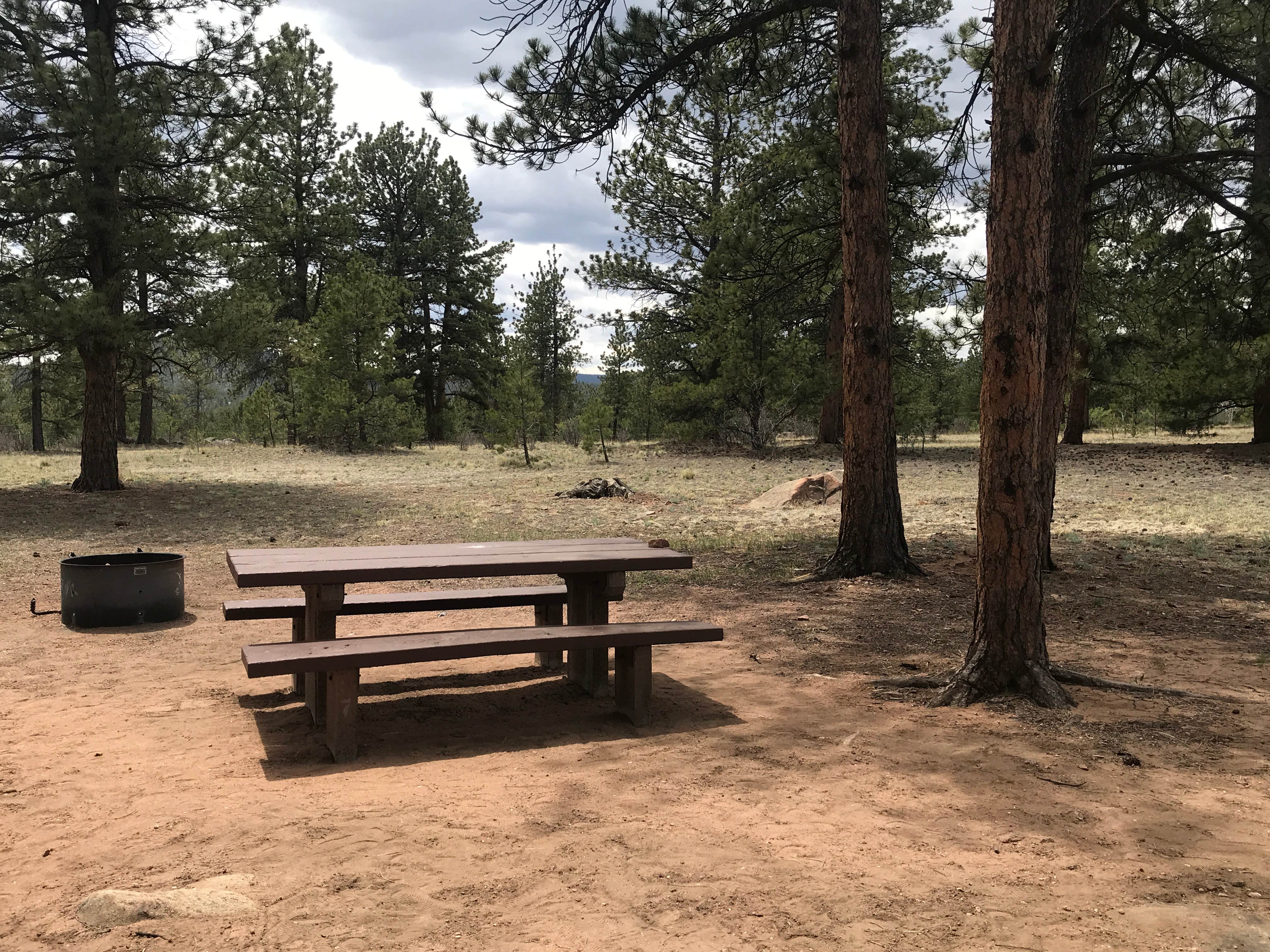 Camping near Badger Flats: Round Mountain, Lake George, Colorado