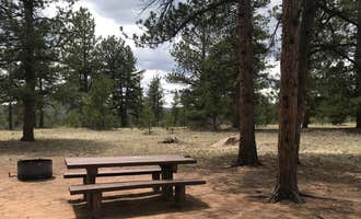 Camping near Spruce Grove Campground: Round Mountain, Lake George, Colorado