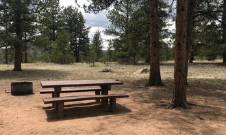 Camping near North Shore Campground — Eleven Mile State Park: Round Mountain, Lake George, Colorado