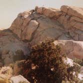Review photo of Jumbo Rocks Campground — Joshua Tree National Park by Molly G., September 6, 2016