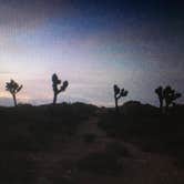 Review photo of Jumbo Rocks Campground — Joshua Tree National Park by Molly G., September 6, 2016