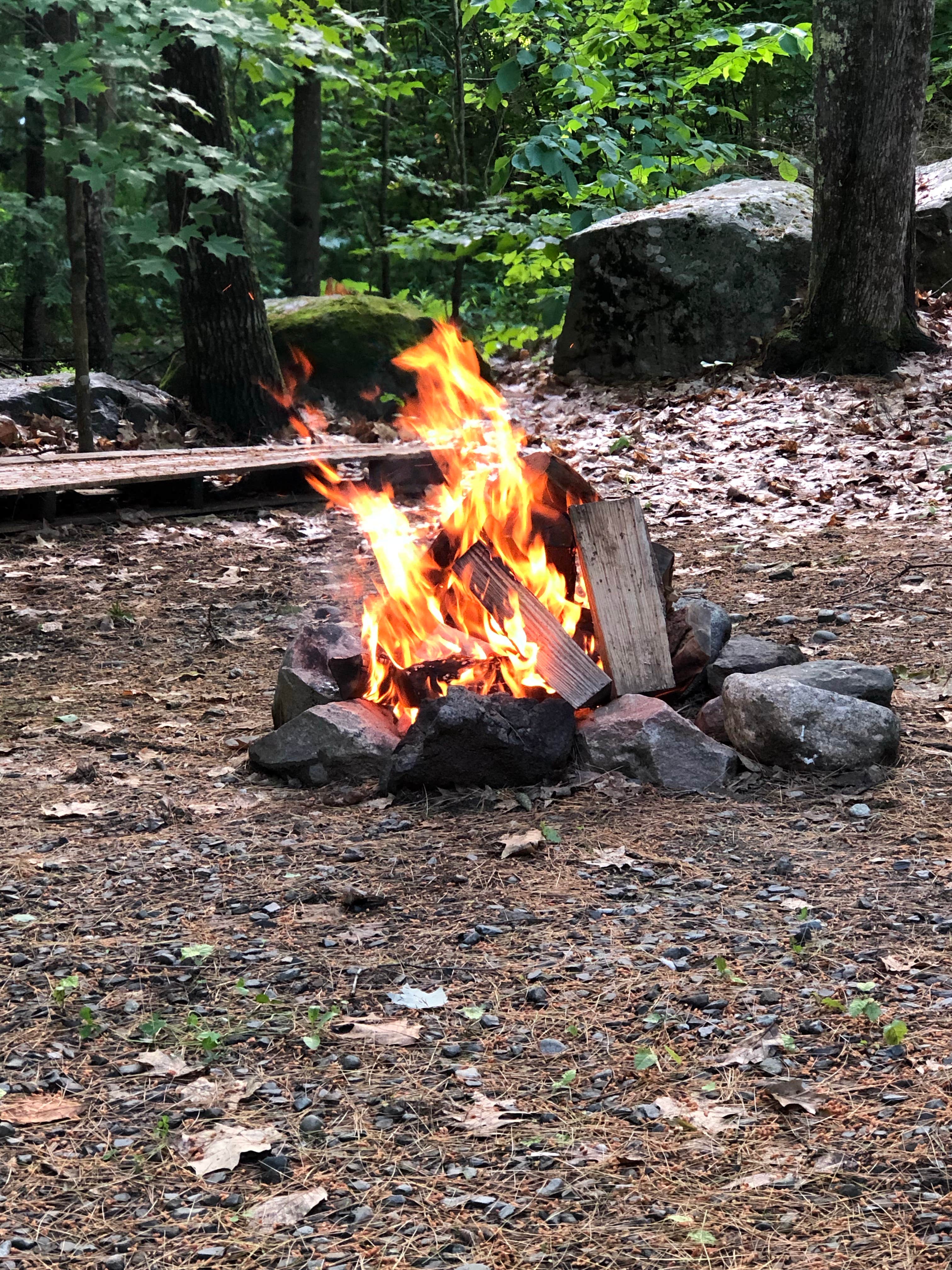 Camper submitted image from Jellystone Park™ Androscoggin Lake - 2