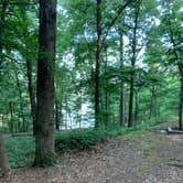 Review photo of Red Top Mountain State Park Campground by Nate H., June 30, 2019