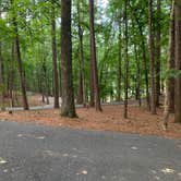 Review photo of Red Top Mountain State Park Campground by Nate H., June 30, 2019