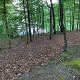 Review photo of Red Top Mountain State Park Campground by Nate H., June 30, 2019