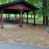 Review photo of Red Top Mountain State Park Campground by Nate H., June 30, 2019