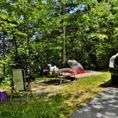 Review photo of Balsam Mountain Campground — Great Smoky Mountains National Park by Myron C., June 30, 2019