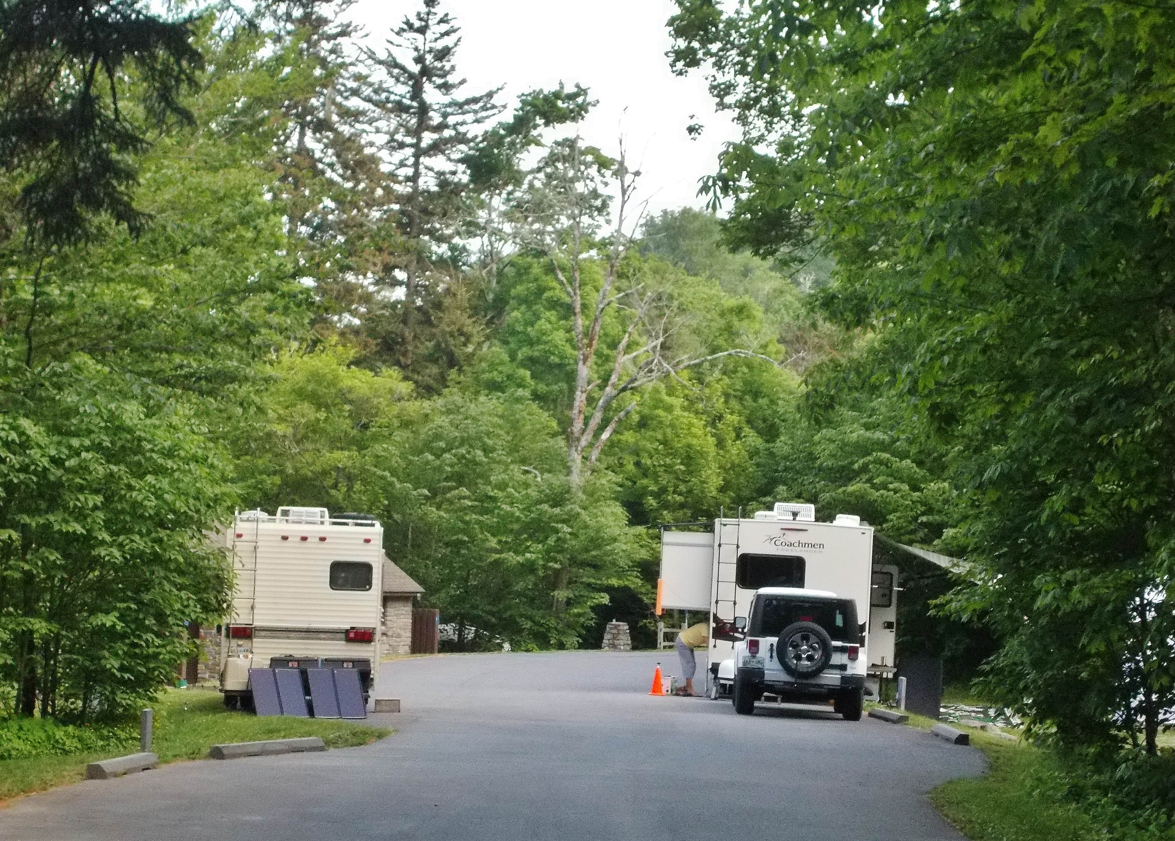 Camper submitted image from Balsam Mountain Campground — Great Smoky Mountains National Park - 5