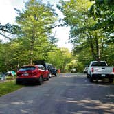 Review photo of Balsam Mountain Campground — Great Smoky Mountains National Park by Myron C., June 30, 2019