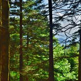 Review photo of Balsam Mountain Campground — Great Smoky Mountains National Park by Myron C., June 30, 2019