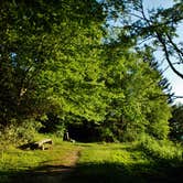 Review photo of Balsam Mountain Campground — Great Smoky Mountains National Park by Myron C., June 30, 2019