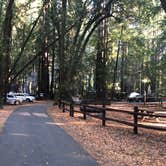 Review photo of Schoolhouse Canyon Campground by Seneca E., June 30, 2019