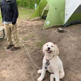 Review photo of Lakeport State Park Campground by Rachael D., June 30, 2019