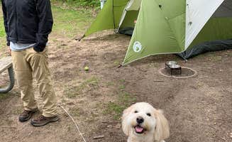 Rachael D.'s photo at Lakeport State Park Campground near Avoca, MI