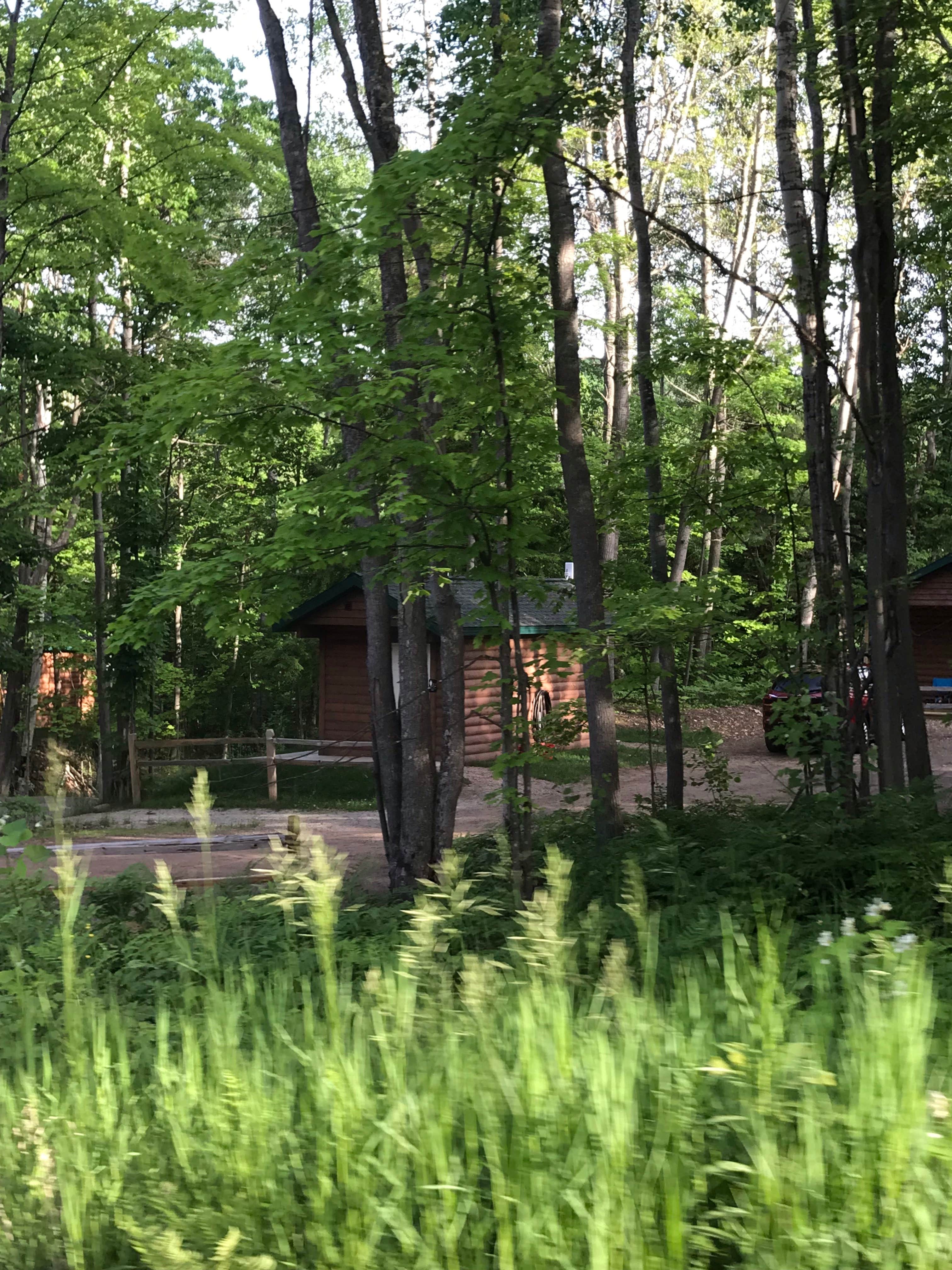 Randall J.'s photo of a cabin at Rippling Rivers RV Resort near Chatham, MI