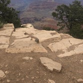 Review photo of Mather Campground — Grand Canyon National Park by Joan F., July 1, 2019