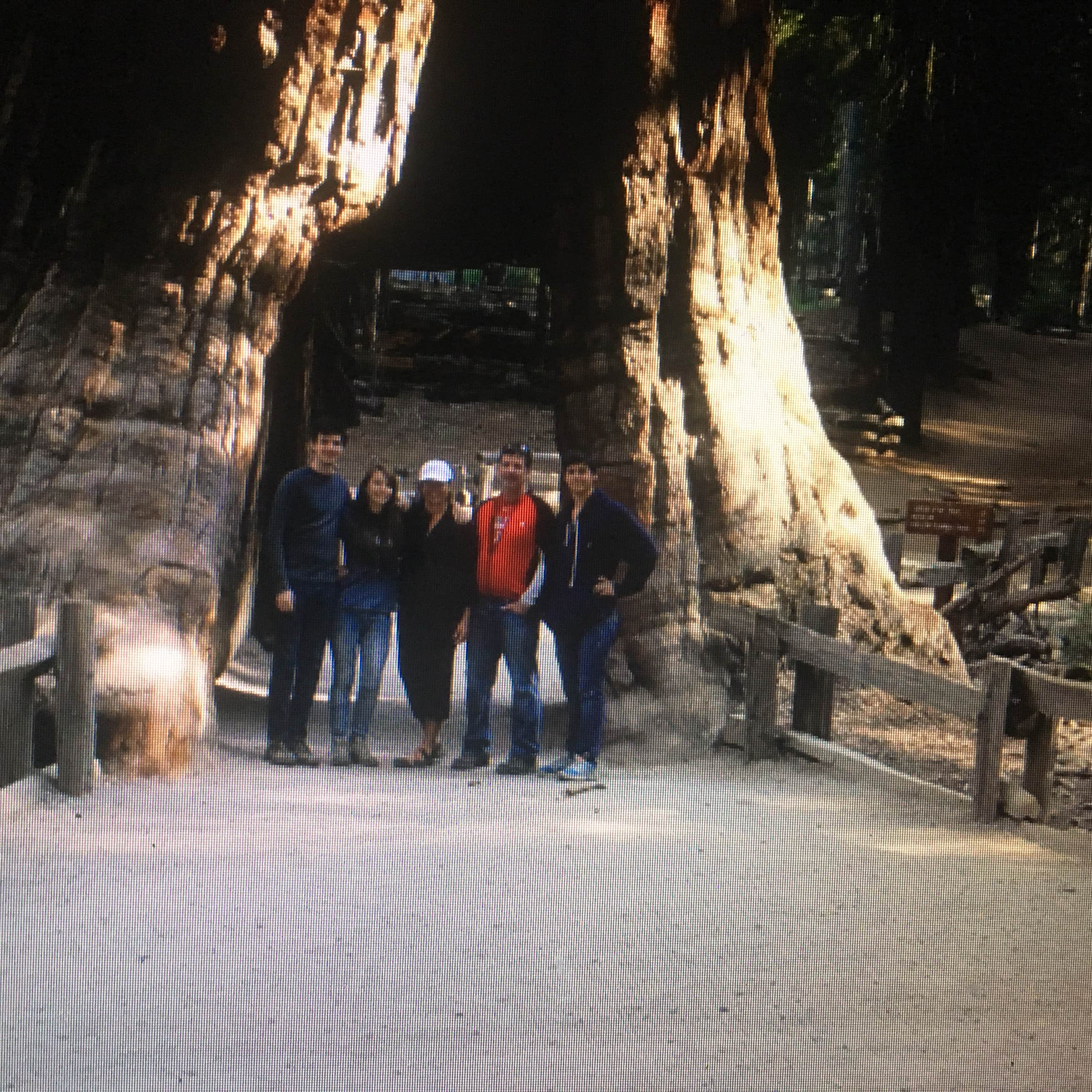 Summerdale Campground Camping The Dyrt