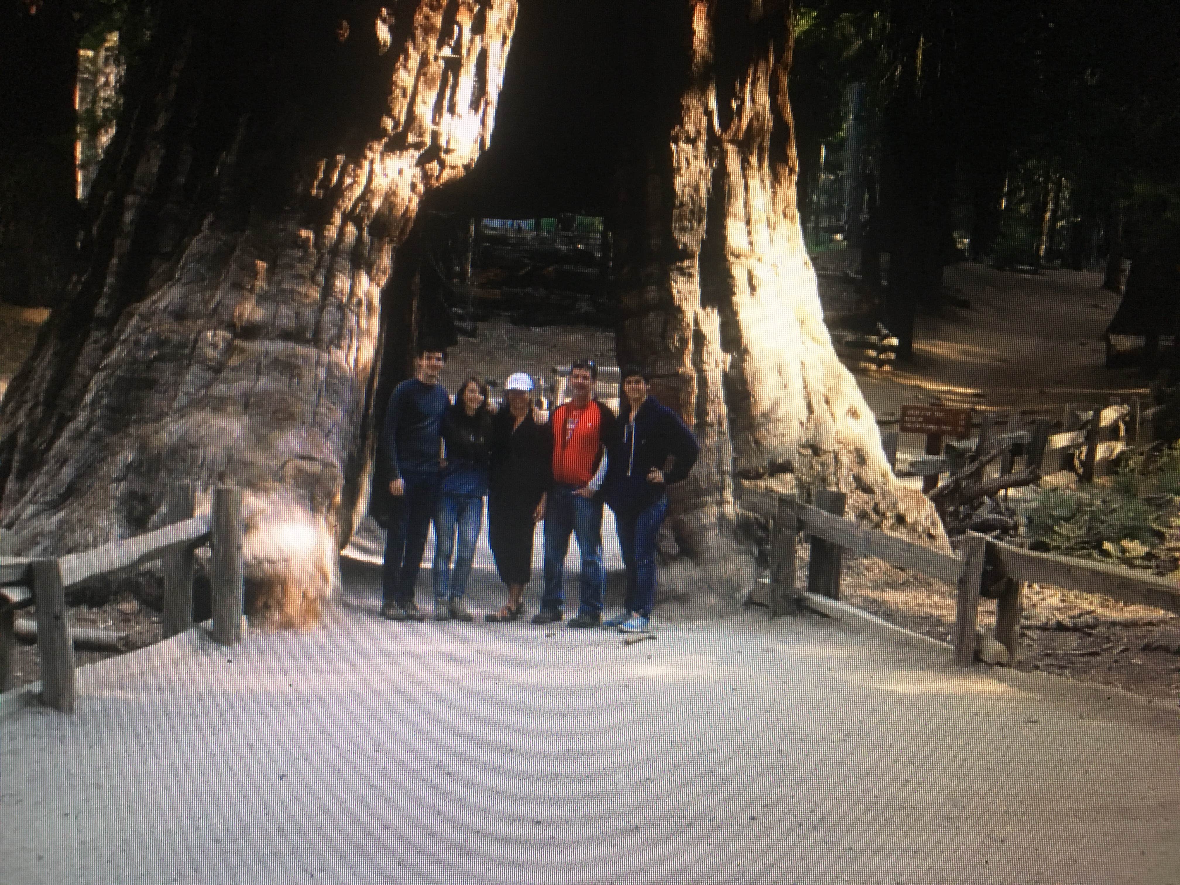 Camper submitted image from Summerdale Campground - Sierra National Forest - 3