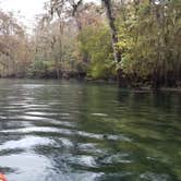 Review photo of Manatee Springs State Park Campground by Yankee D., July 1, 2019