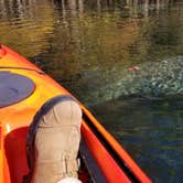 Review photo of Manatee Springs State Park Campground by Yankee D., July 1, 2019